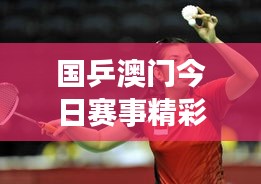 国乒澳门今日赛事精彩瞬间，实时赛况更新