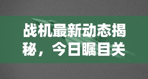 战机最新动态揭秘，今日瞩目关注消息全解析