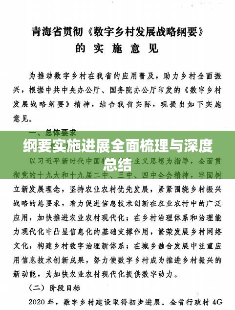 纲要实施进展全面梳理与深度总结