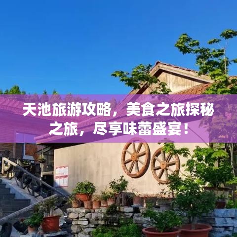 天池旅游攻略，美食之旅探秘之旅，尽享味蕾盛宴！
