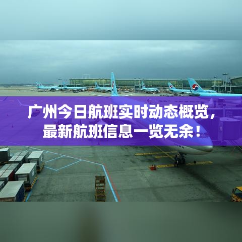 广州今日航班实时动态概览，最新航班信息一览无余！