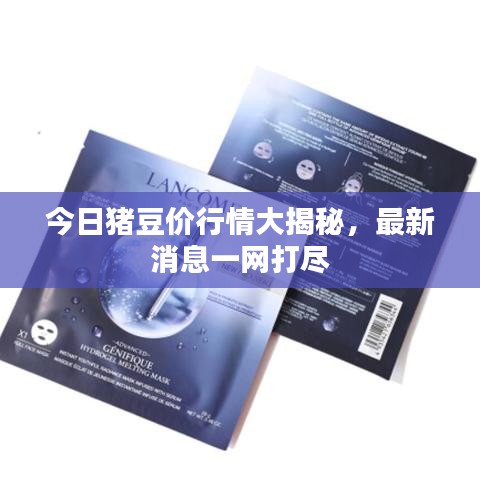 今日猪豆价行情大揭秘，最新消息一网打尽