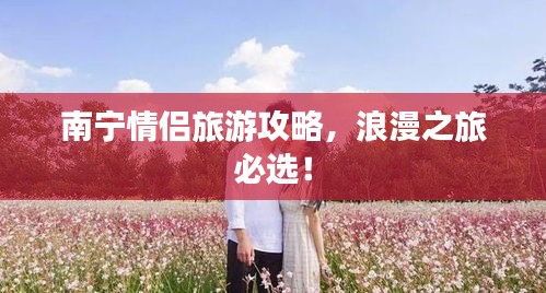 文化专栏 第6页