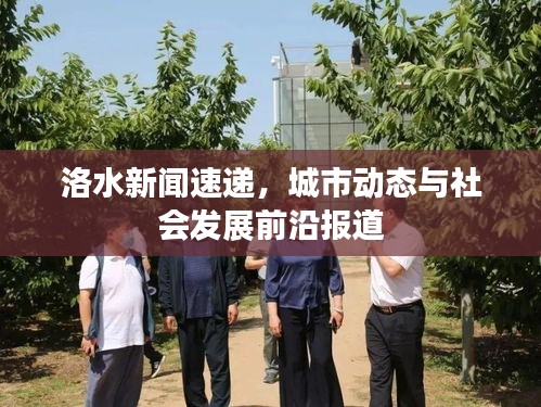 文化专栏 第5页