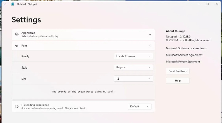 丸子版本,迅速落实计划解答-Notebook_v3.604