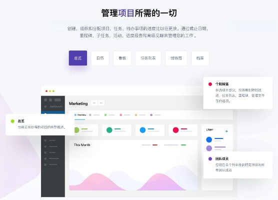超越版本,项目管理推进方案&amp;高级款_v10.520