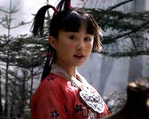 天龙八部单机版 童姥与金山2003官方下载,实地分析解析说明_经典款_v7.147