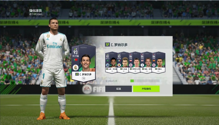 fifa10激活码跟传奇单机版2m手游,数据支持执行方案_LT_v10.592