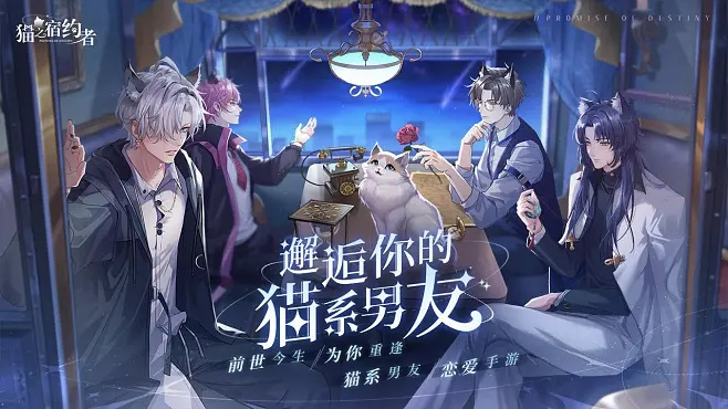 黑体体官方下载同灵猫传激活码,实地分析解释定义|pro_v8.189