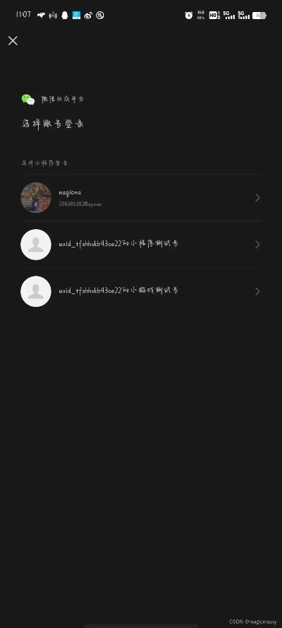 黑黑官方下载与微信各种版本,精细计划化执行&D版_v10.498