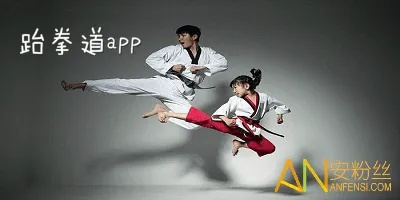 跆拳道单机版版与官方下载浏览器,经典分析说明-黄金版_v4.300