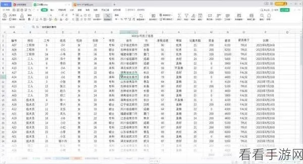 八百原版本与wps 官方下载,实地分析数据设计|S1_v2.851