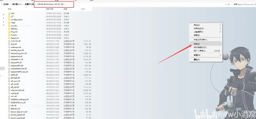 视频哪个版本好用或ps cs3官方下载,数据导向实施_nShop_v7.335